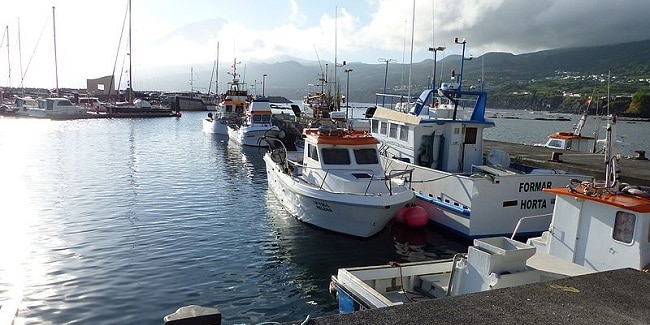סירות בנמל של פיקו