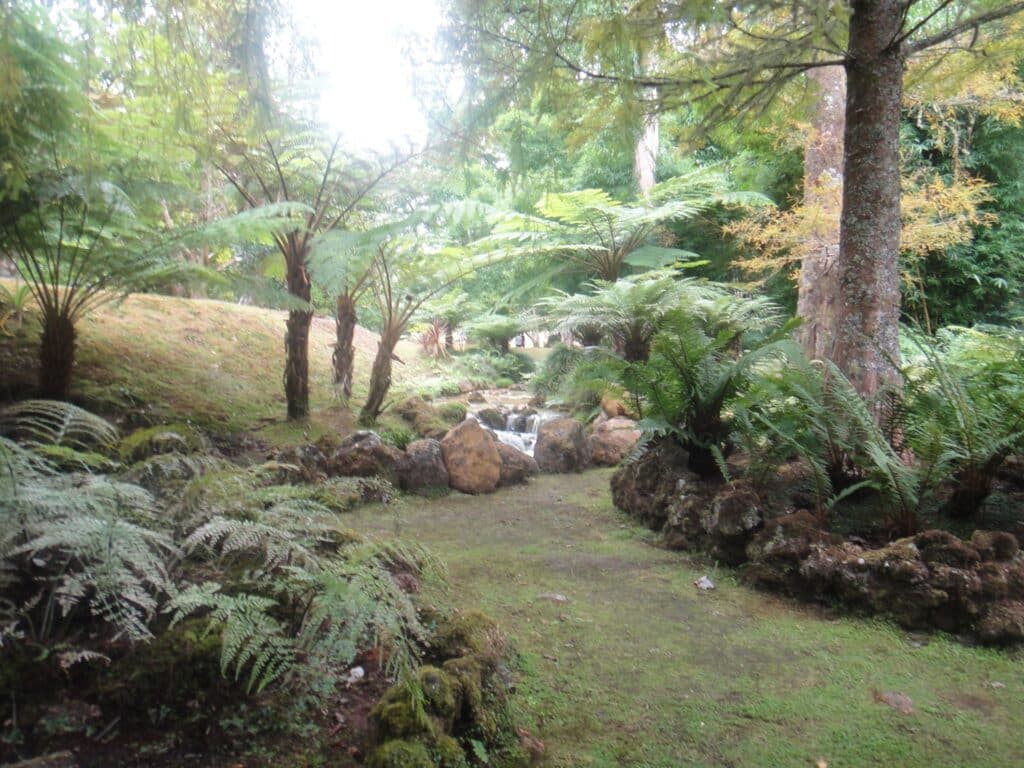 הגן הבוטני של המלון