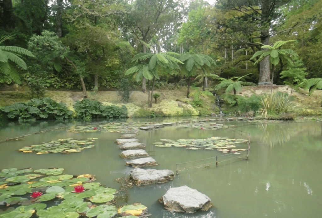 גני טרה נוסטרה (2)