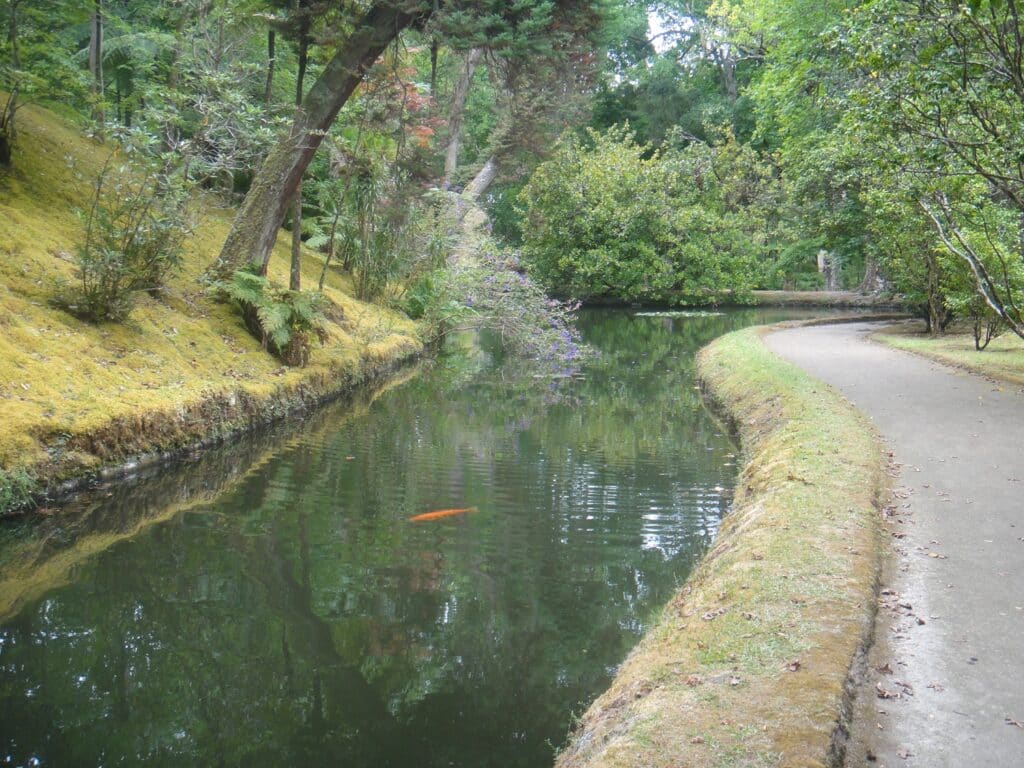 גני טרה נוסטרה (3)