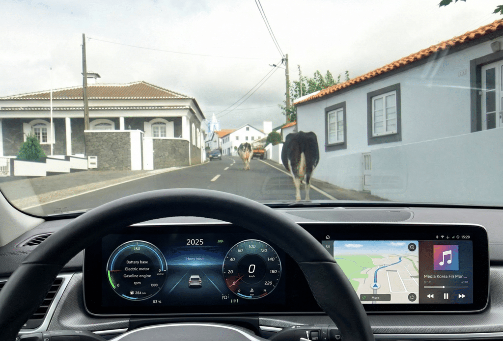 נסיעה ברכב שכור בפונטה דלגדה סאו מיגל