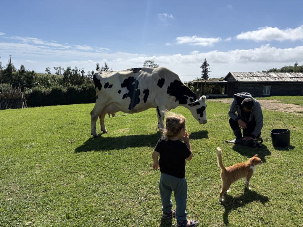 הילדים משחקים עם פרה